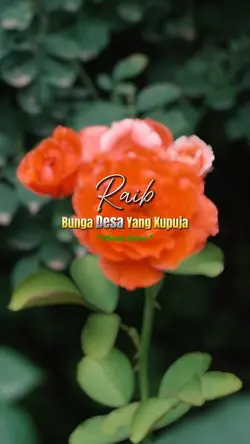 Raib Bunga Desa