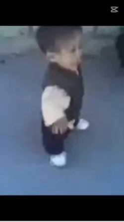 Vili vili vili