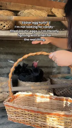 Egg hunt