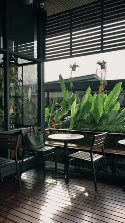 CAFE | VLOG | VIBES