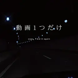 動画1つだけ！