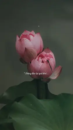 [2]Đừng đào lại quá 