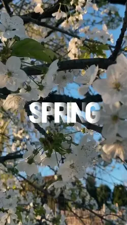 SPRING