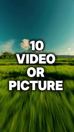 10 video or photo