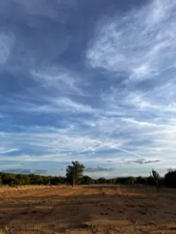 Roça❤️