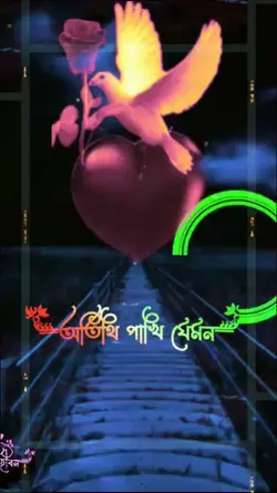 অতিথি পাখি যেমন 