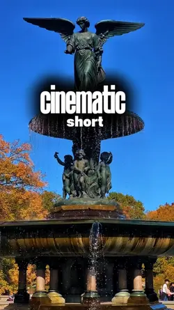 CINEMATIC 