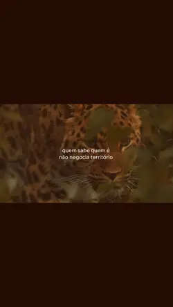 onça