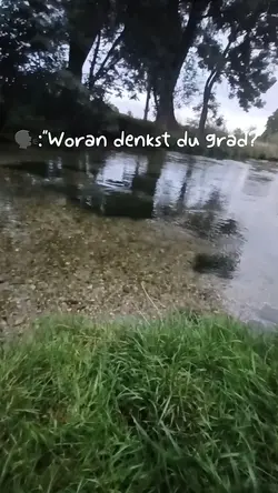 Ich bin das Problem 
