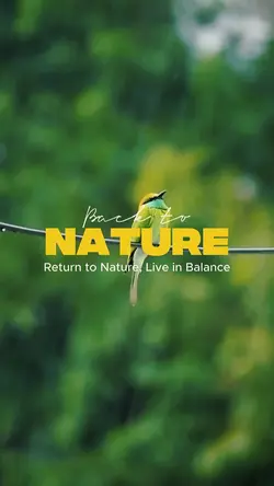 Back To Nature