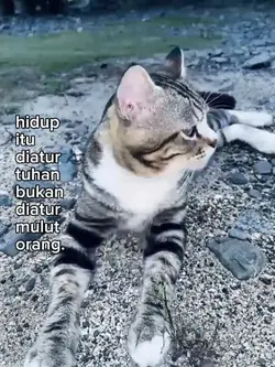 hidup itu diatur 