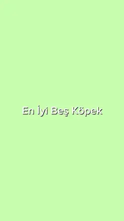 En iyi beş köpek