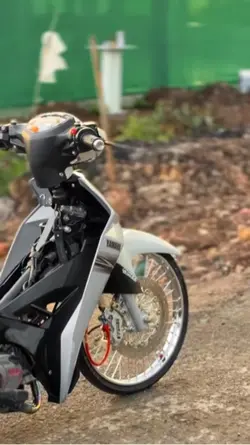 Mẫu xe 1vd + mầu