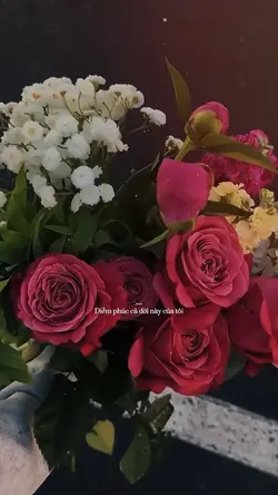 Diễm phúc cả đời này