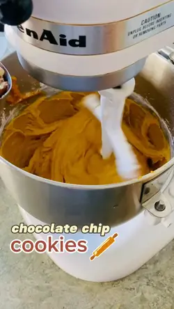 Chocolate chip 