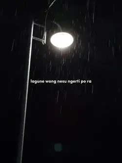 nek nesu lagune