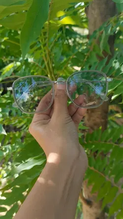 Eyeglasses 