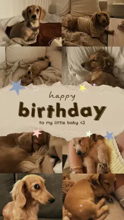Dog Birthday