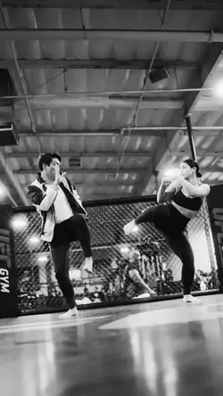 Luxury TemplateFight