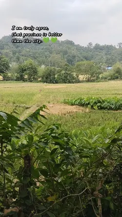 probinsya