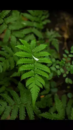 7 ảnh nhẹ nhàng 