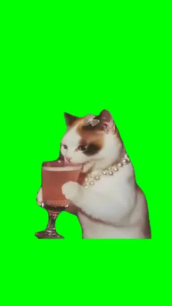 LAUGHING CAT