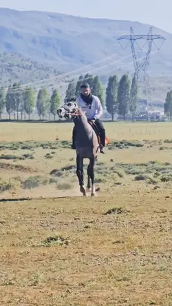 KÜRTLERİN ŞABLONU 🫶