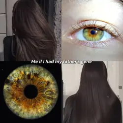 Me if I had...