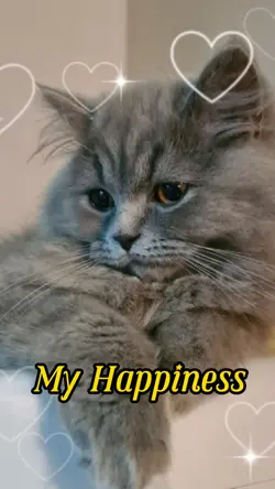 My happiness 