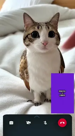 NEW Edit TEMPLATE
