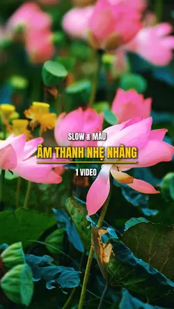 ÂM THANH THƯ GIÃN