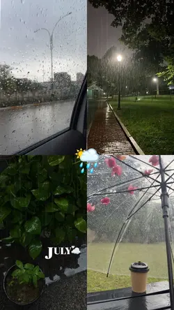 Rainy season monsoon