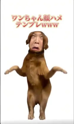 ワンちゃん顔ハメテンプレwww