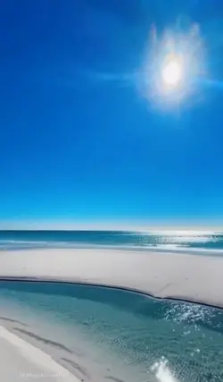 Hawai Top Klip