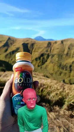 cebel bgt nih
