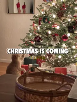 CHRISTMAS IS COMING