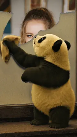 Panda Cleaning Time