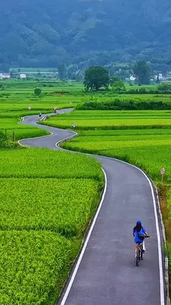 village atmosphere