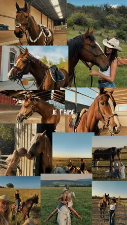 J’aime mon cheval