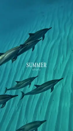 summer story