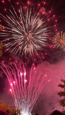 불꽃놀이 동영상을 넣어보세요 🎆