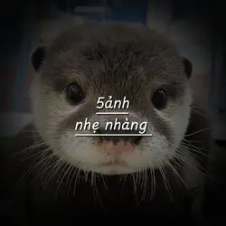 [5]+ NHẠC CUTIII