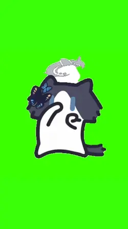 douyin cat dancing