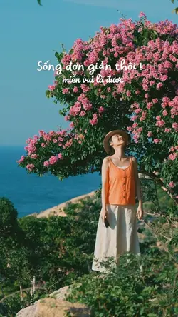 Vui là được