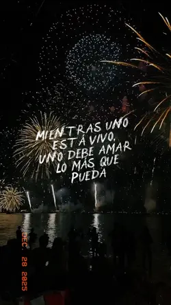 Recap 2025🎆bad bunny