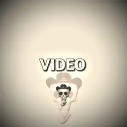 Montagem Bailao