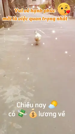 Hài hước 