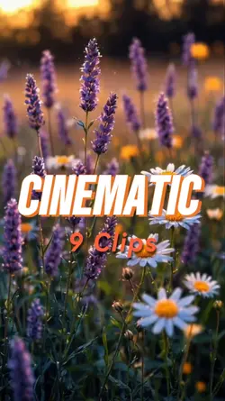 Cinematic 9 Clips