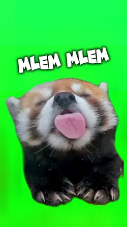 MlemMlem