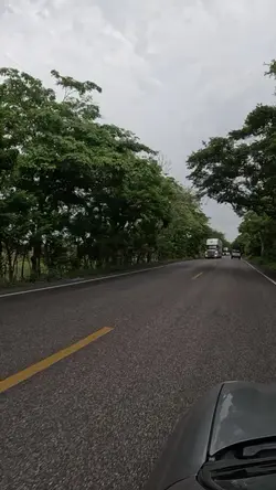 TRG